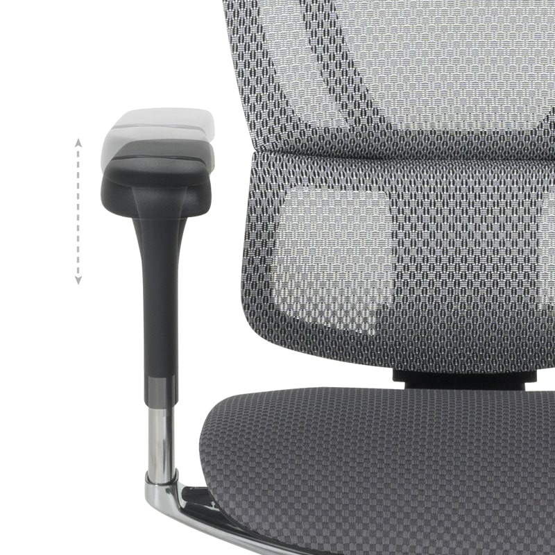 Ергономичен стол Carmen IOO Elite 2 сив